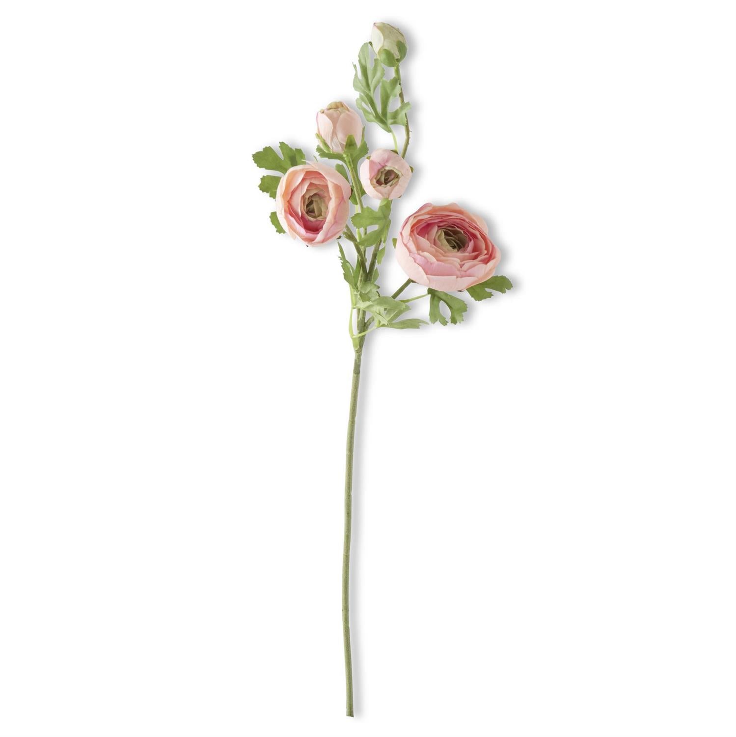 Real Touch 5 Head Ranunculus Stem