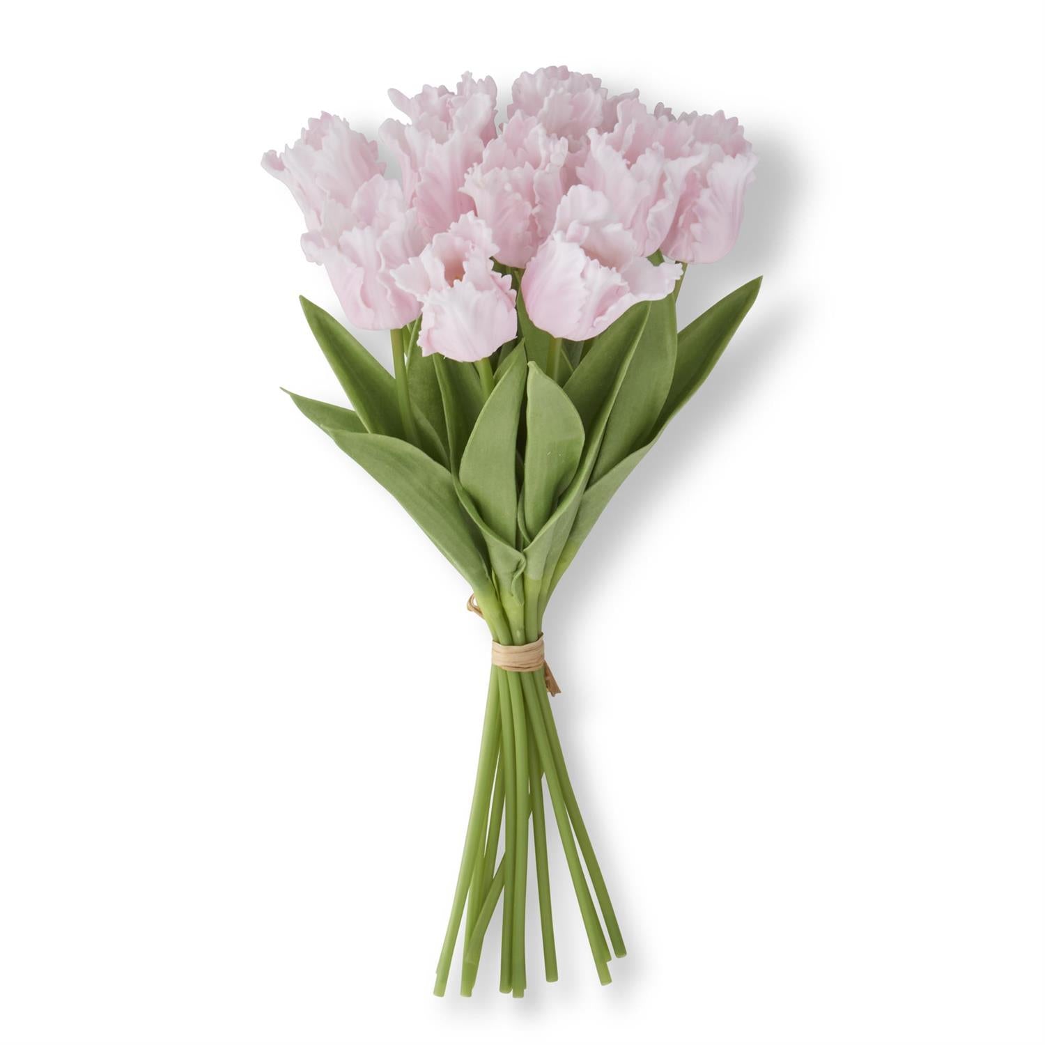 Real Touch Parrot Tulip Bundle