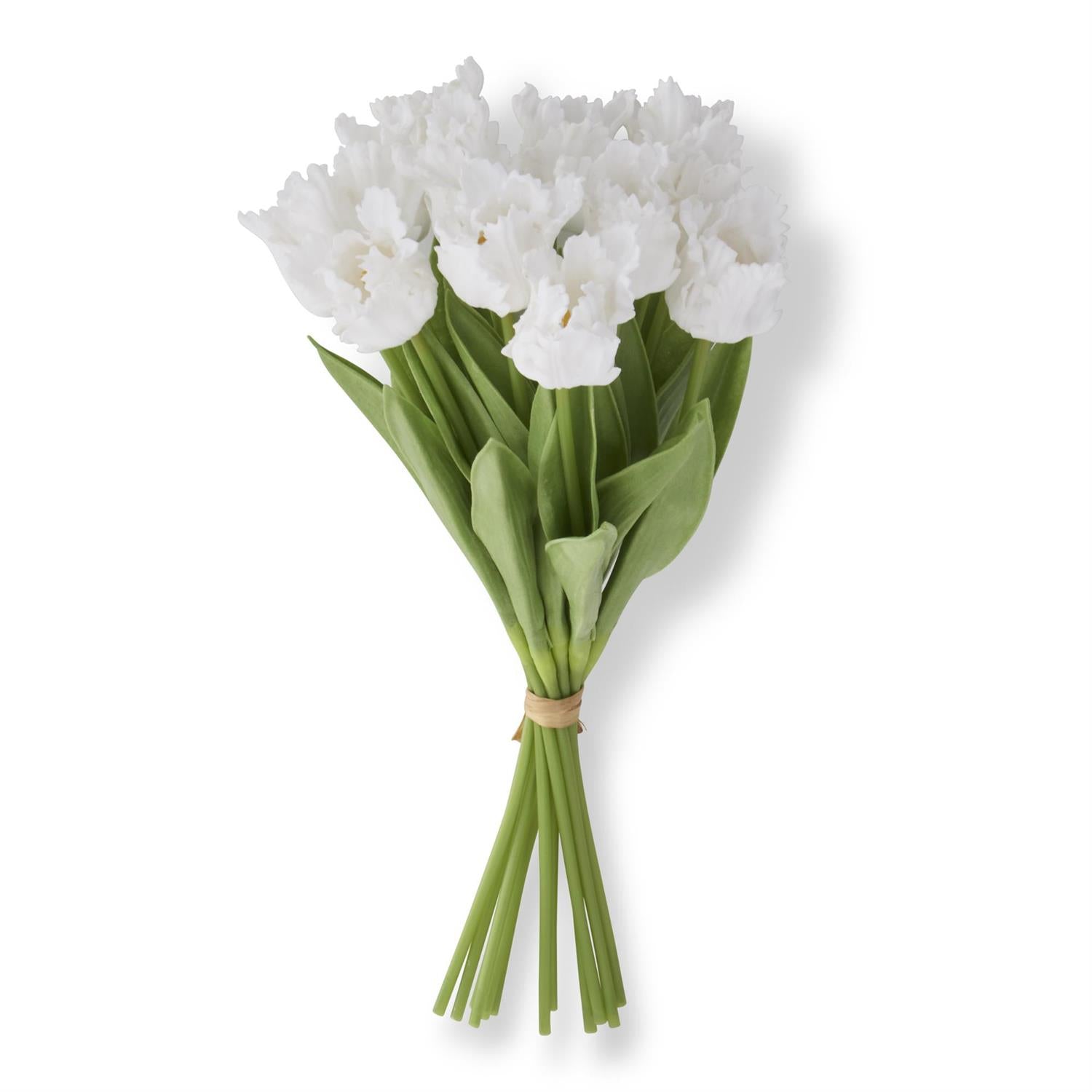 Real Touch Parrot Tulip Bundle