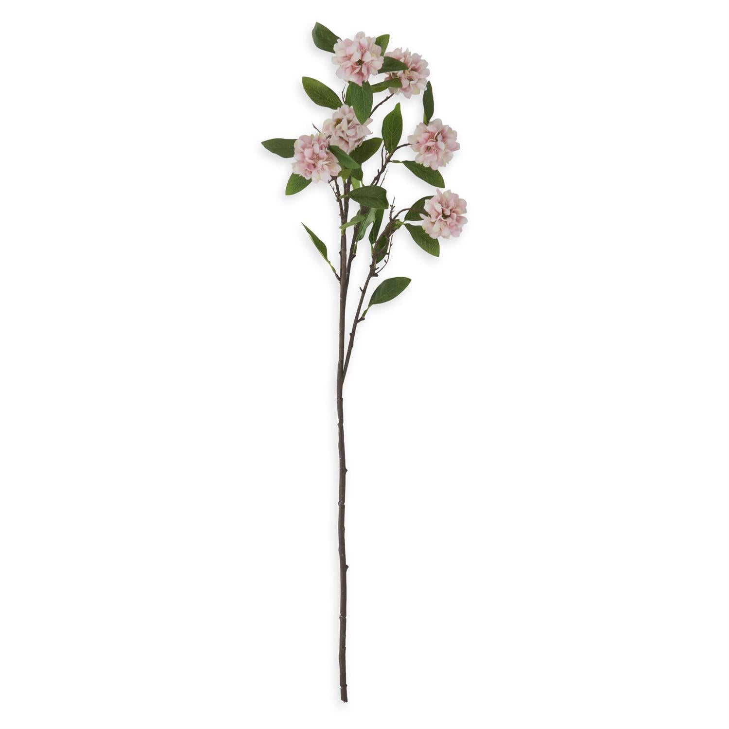 Pink Kerria Spray