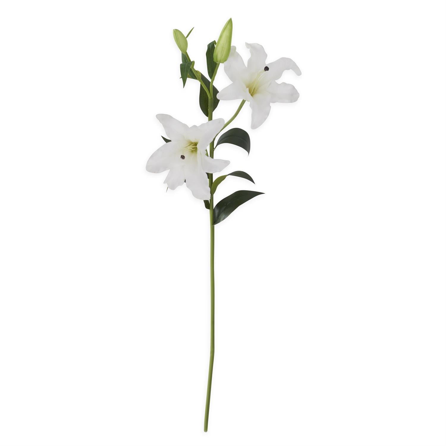 White Real Touch Lily Stem w/2 Blooms & 2 Buds