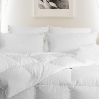 Astra Medium Pillow