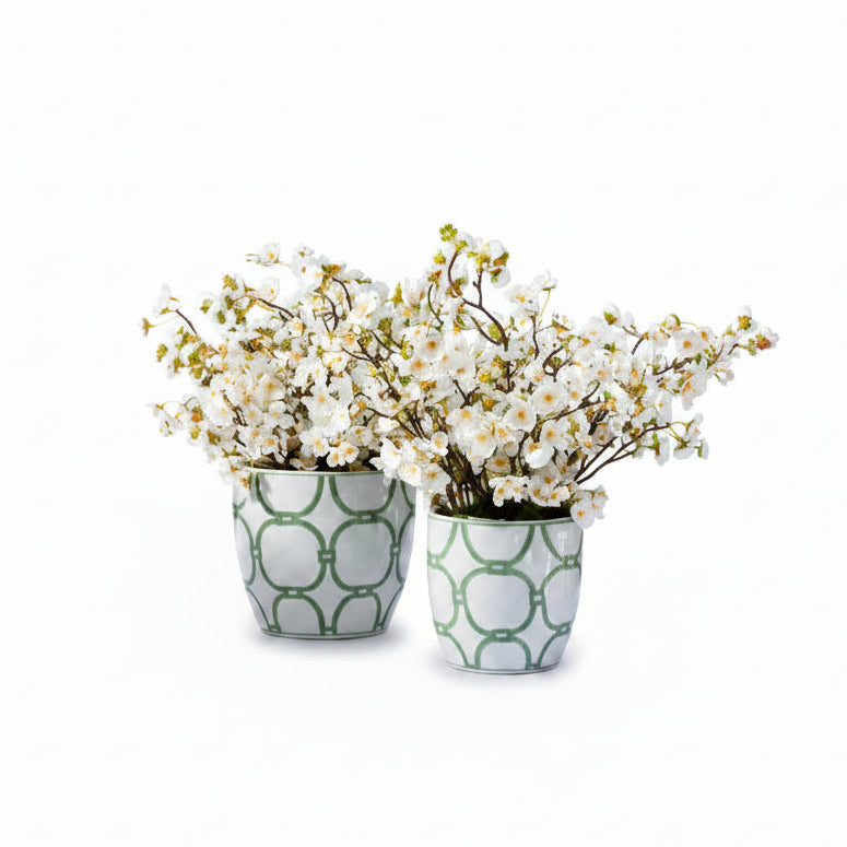 Flaura Japanese Cherry Blossoms in Chain Pot
