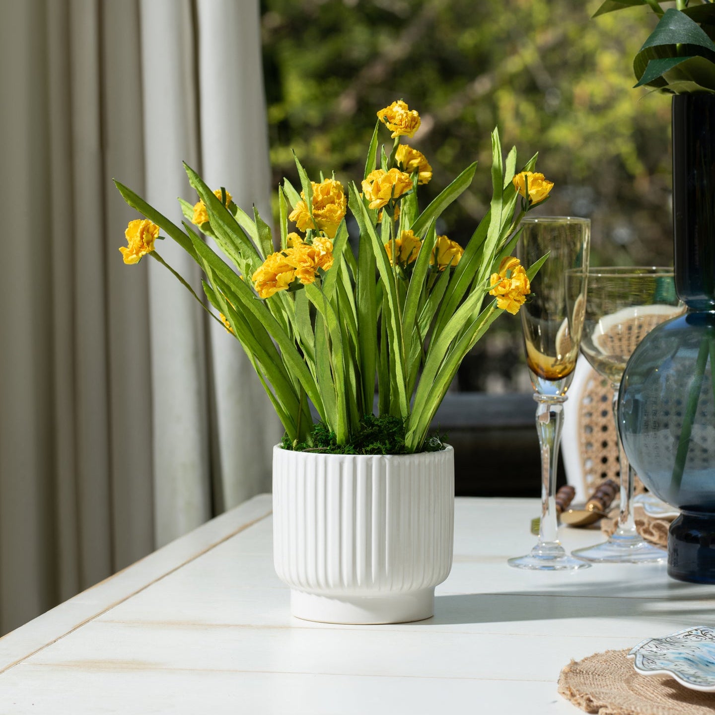 Flaura Mini Daffodils in Ribbed Pot
