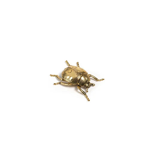 Zodax decorative gold ladybug