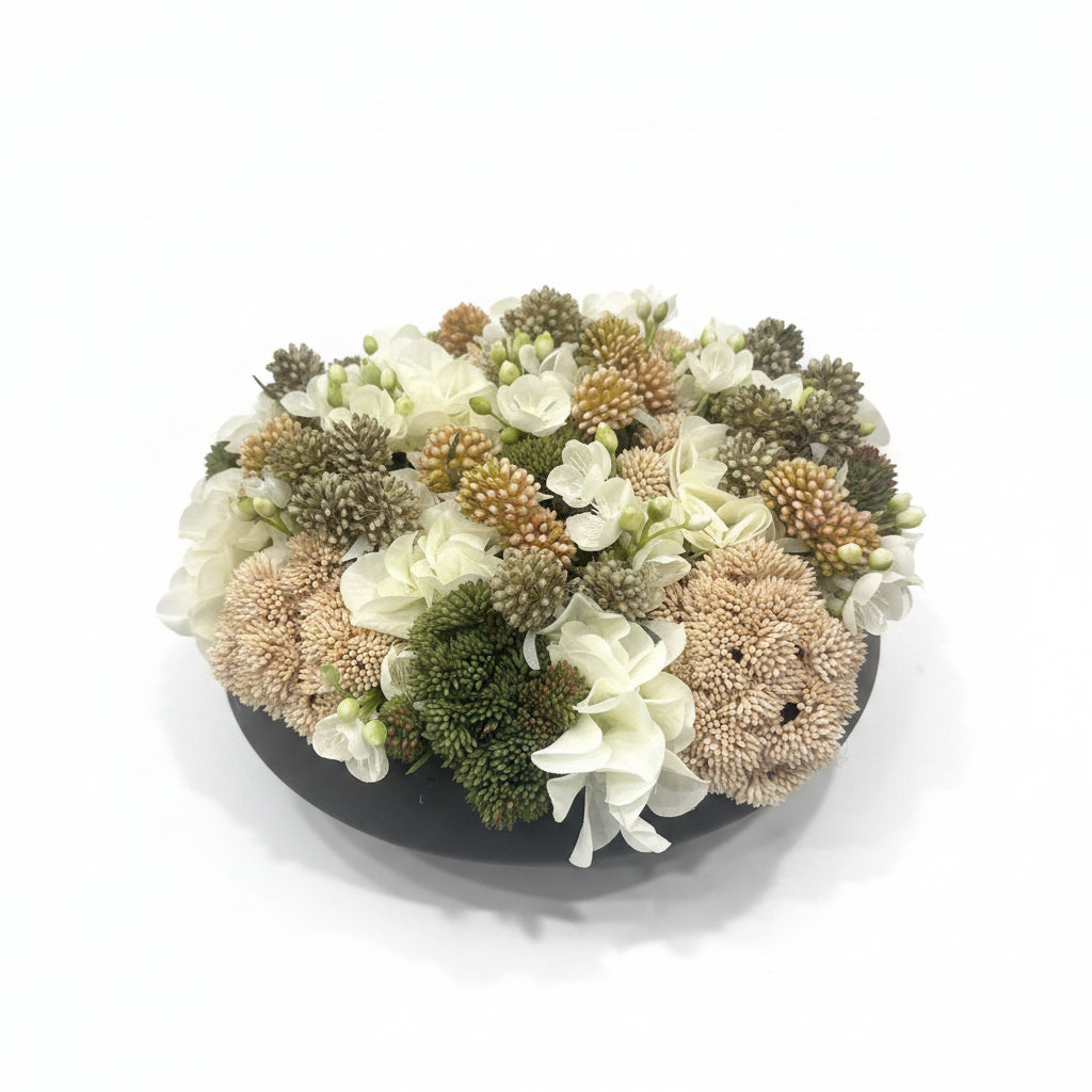 Mixed Sedum in Dark Pot