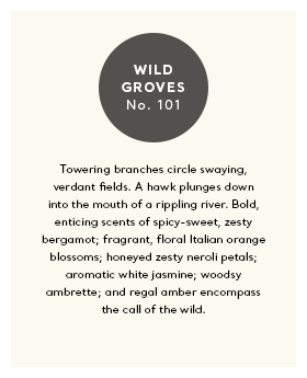 Thucassi Ferrum Wild Groves Candle