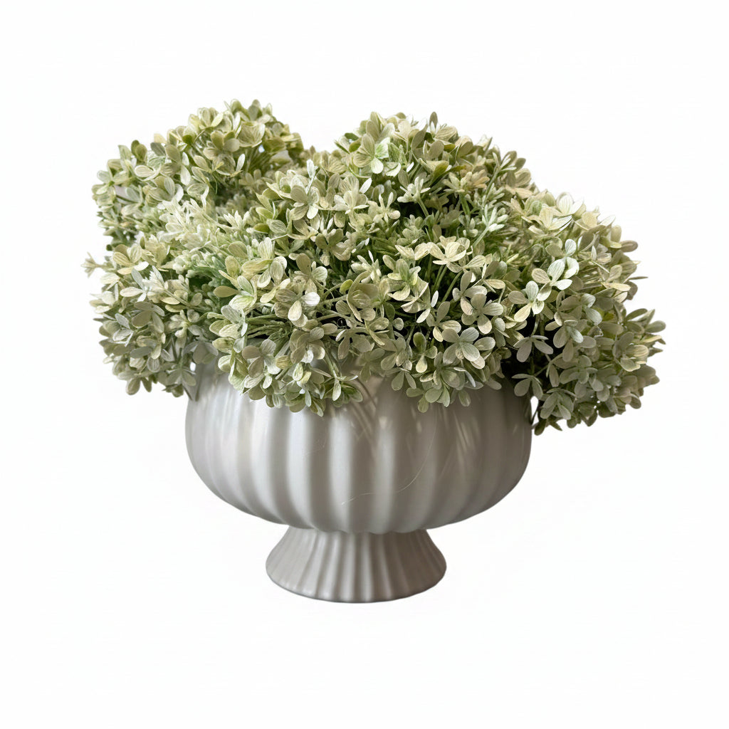Flaura Frosted Gardenia