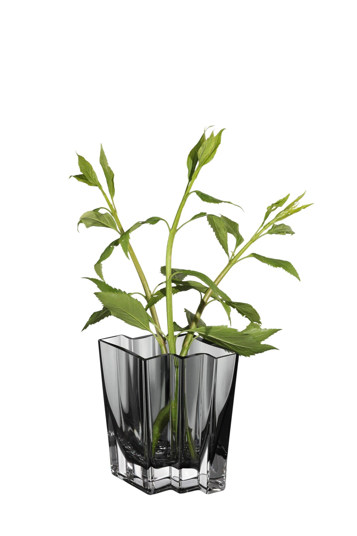 Chevron Vase, Transparent Gray, Available in 4 Sizes