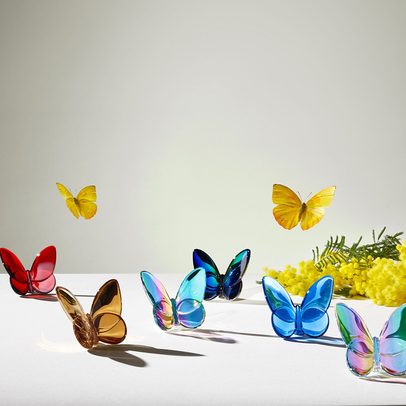 Baccarat Lucky Butterfly
