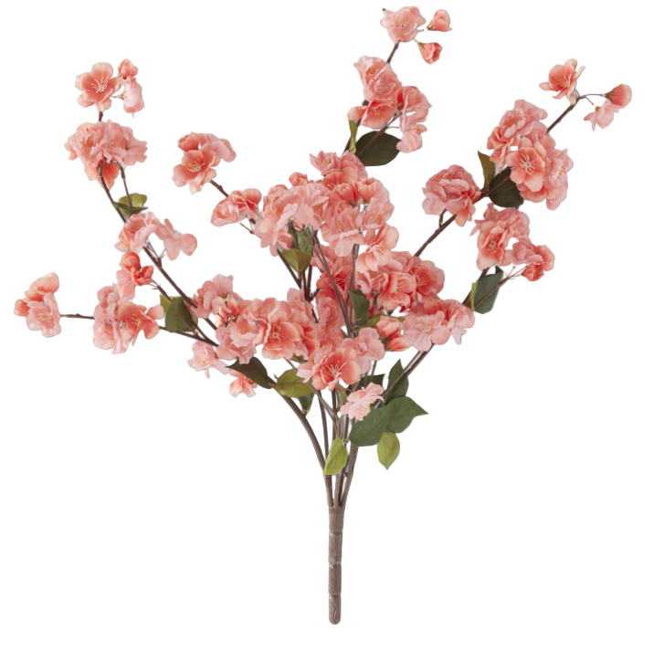 Peach Blossom Bush