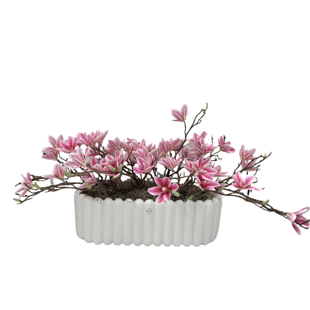 Flaura Bright Magnolia Arrangement  In Large Pleated White Pot