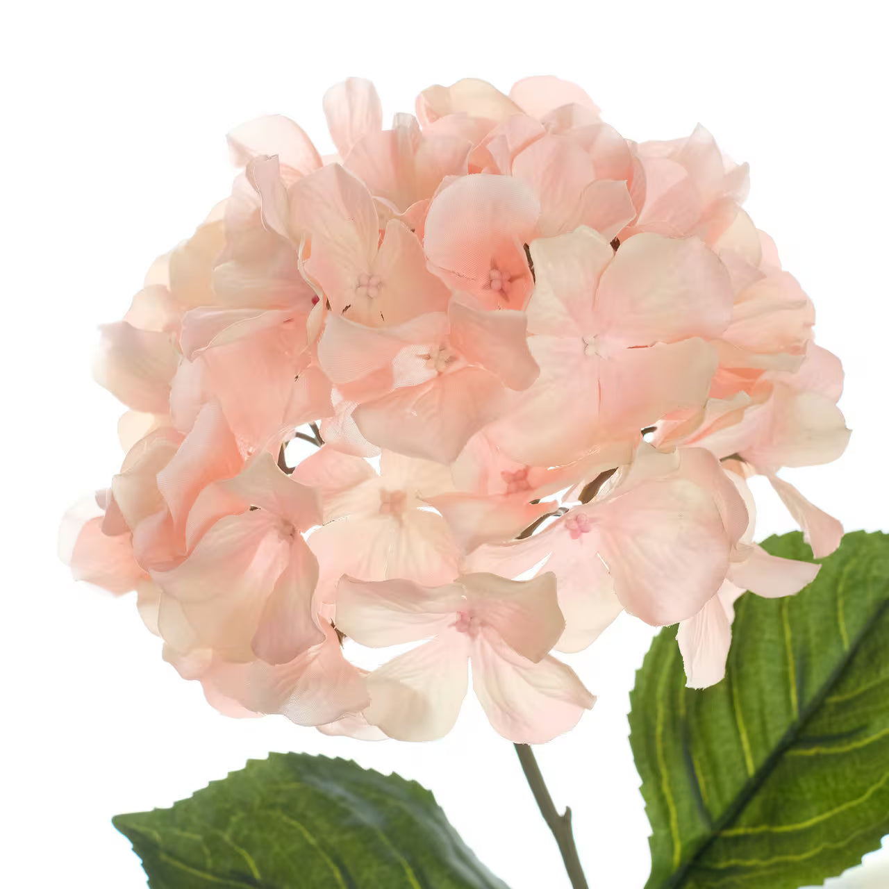 Hydrangea Stem- Light Pink