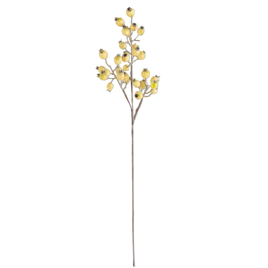 Cream Rosehip Stem