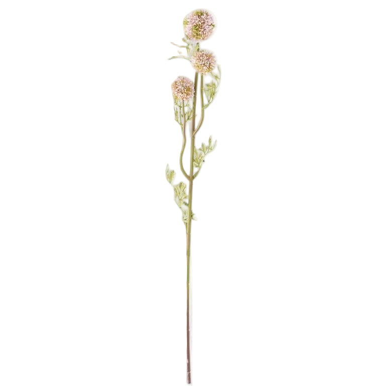 Pink Mini Allium Stem