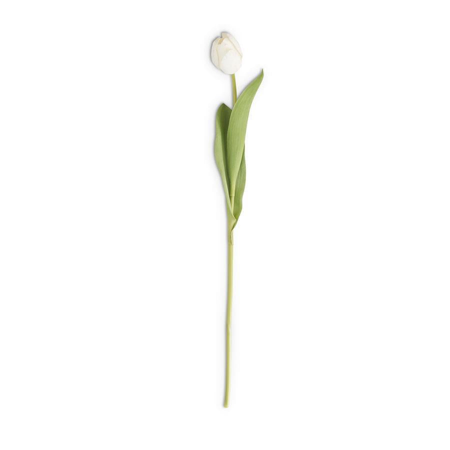 26.75 Inch White Silk w/Real Touch Single Tulip Stem