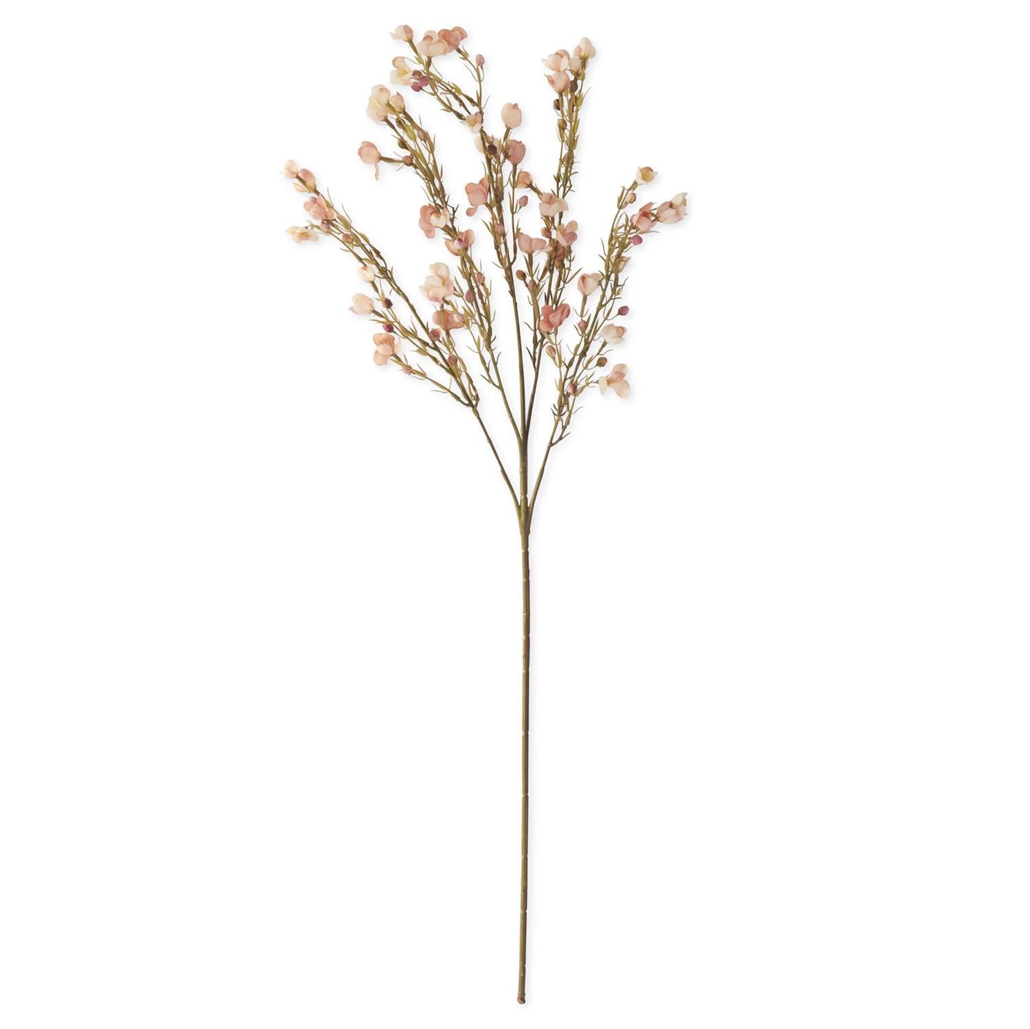 Pink Chamelaucium Spray