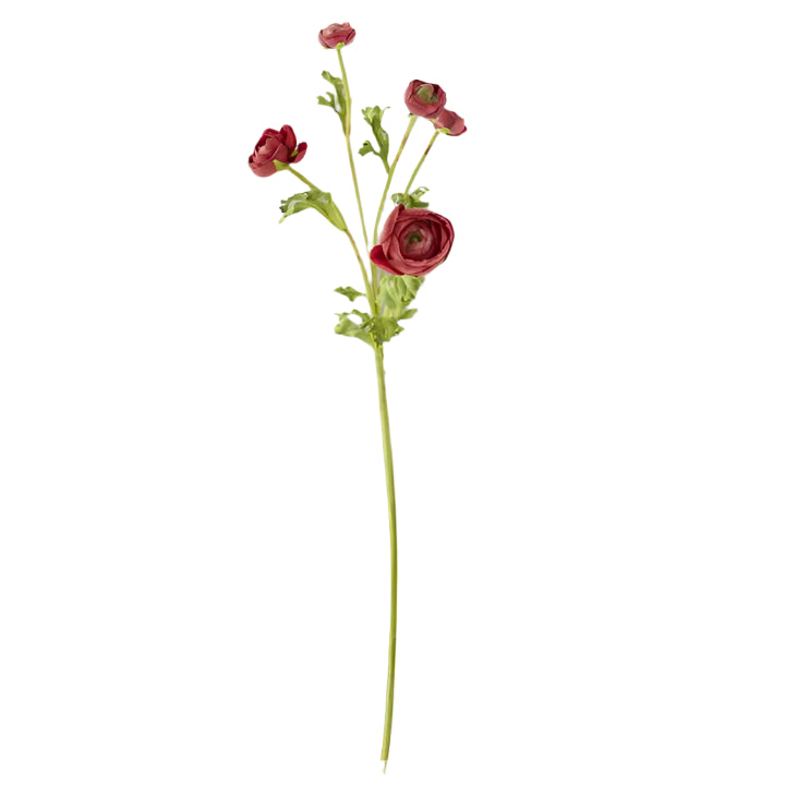 Real Touch 5 Head Ranunculus Stem- Burgundy