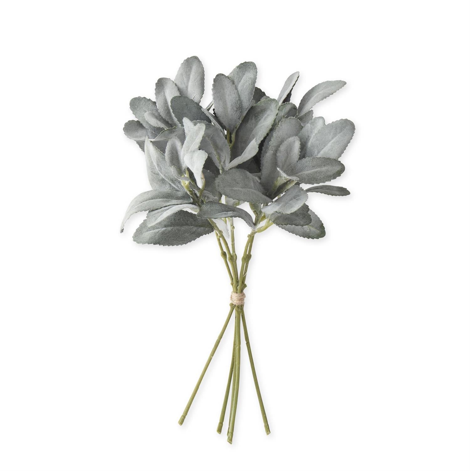 Dark Green Lambs Ear Bundle