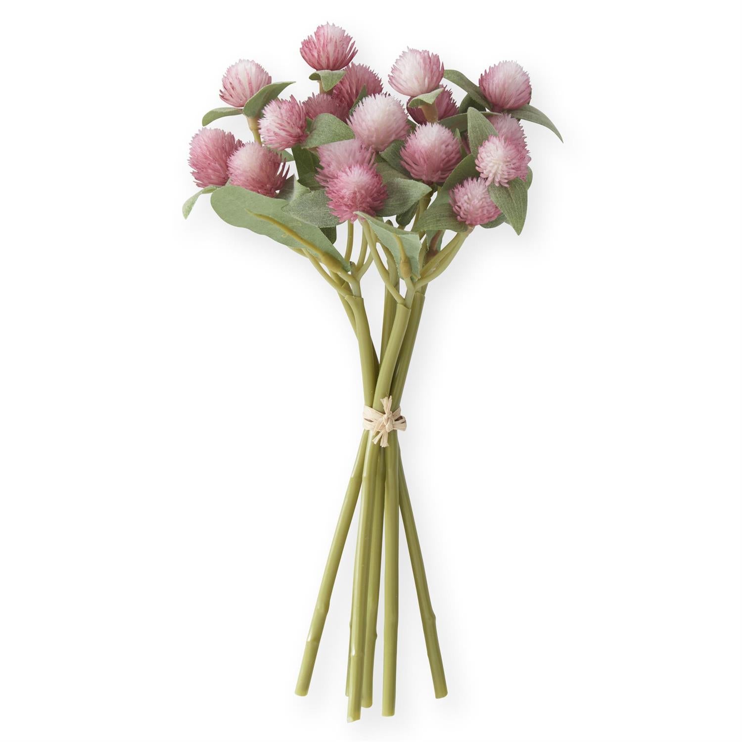 Pink Globe Amaranth Bundle