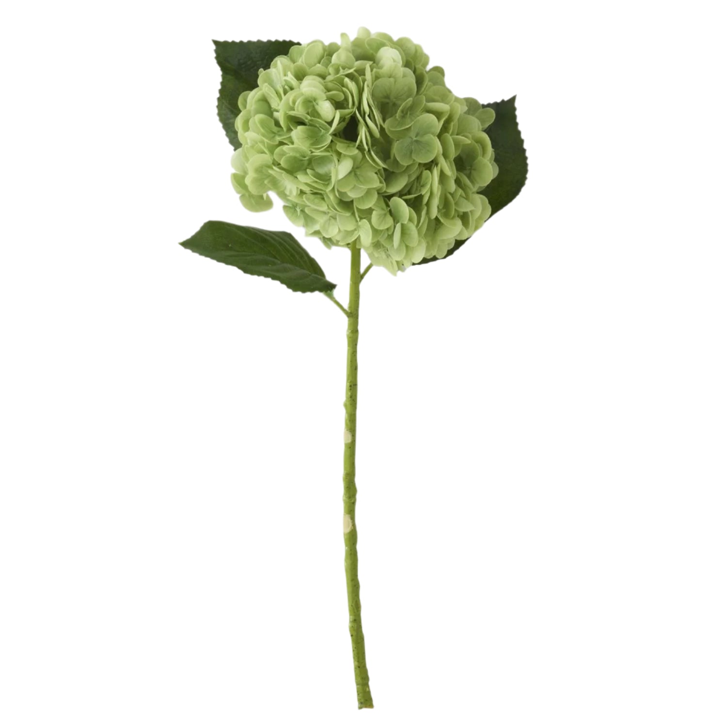 Real Touch Hydrangea Stem