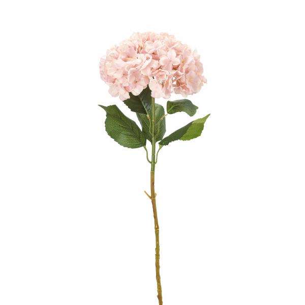 Hydrangea Stem- Light Pink