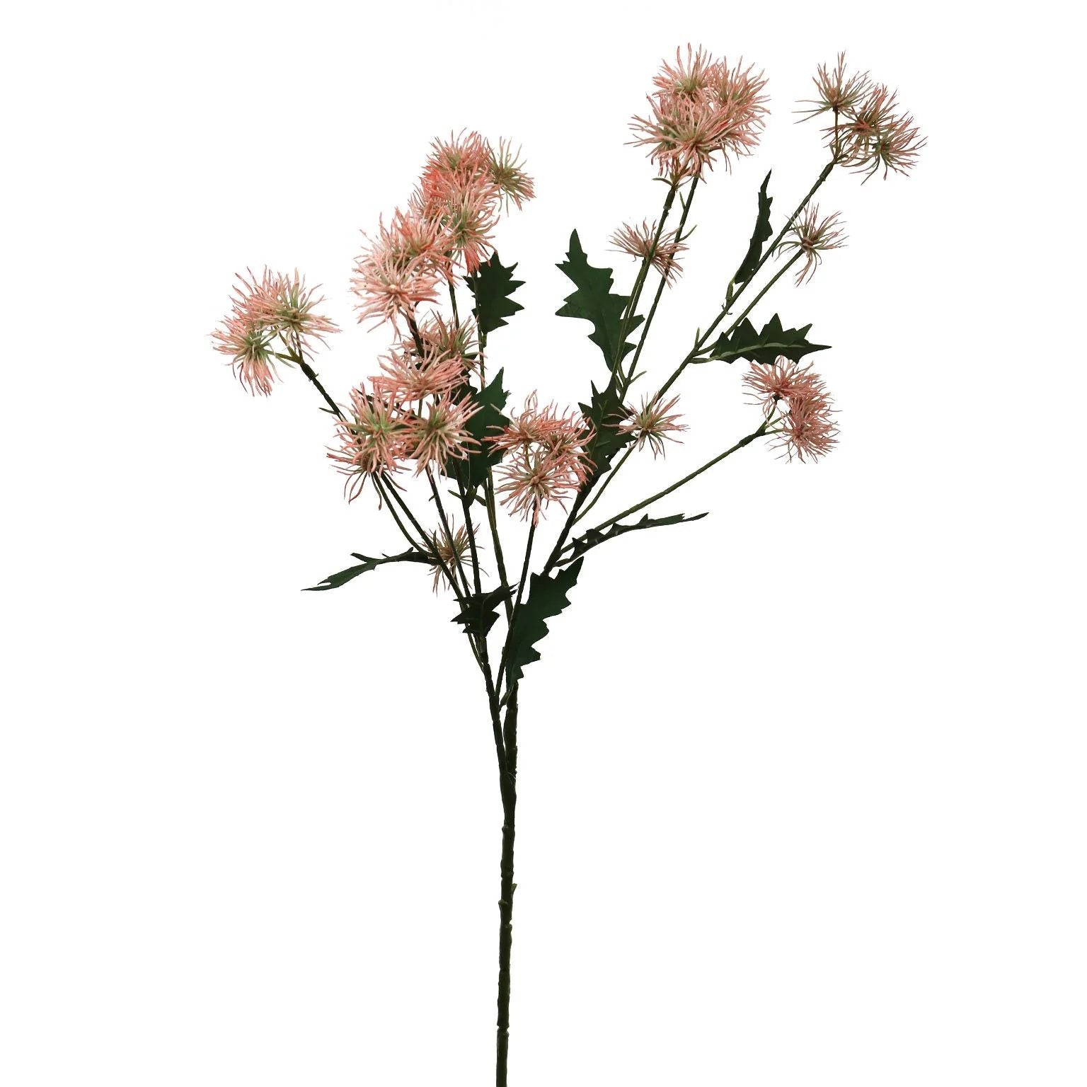 Onion Flower Spray