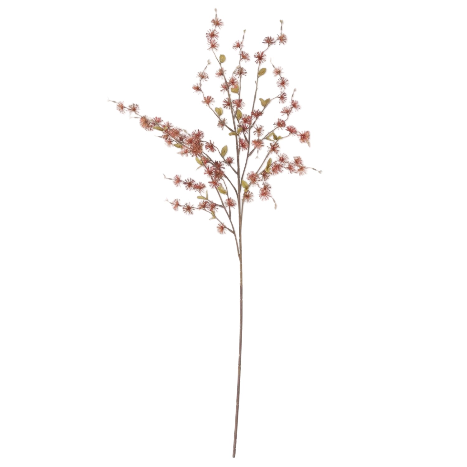Rust Thistle Spray