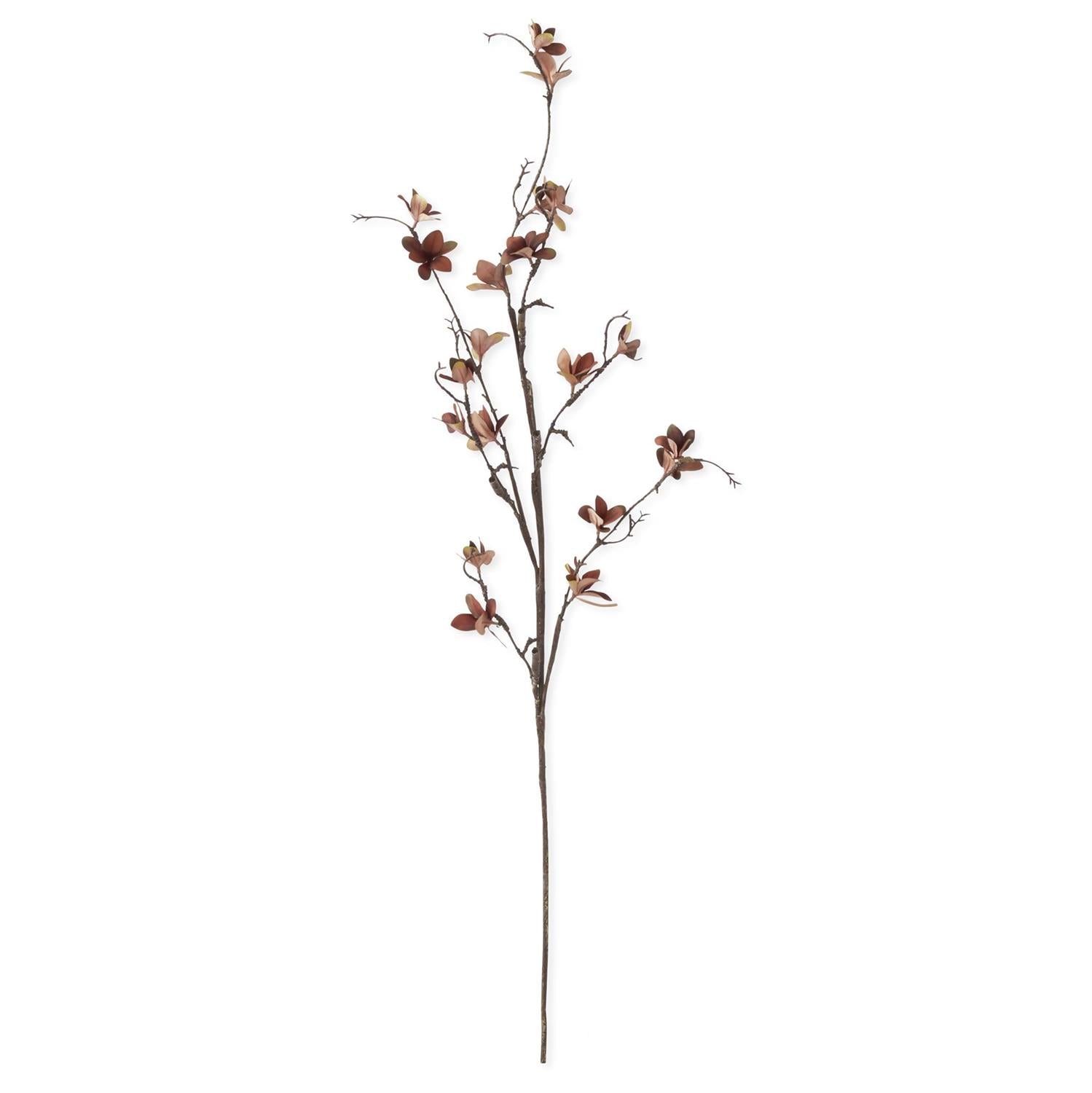 Brown Magnolia Blossom Spray