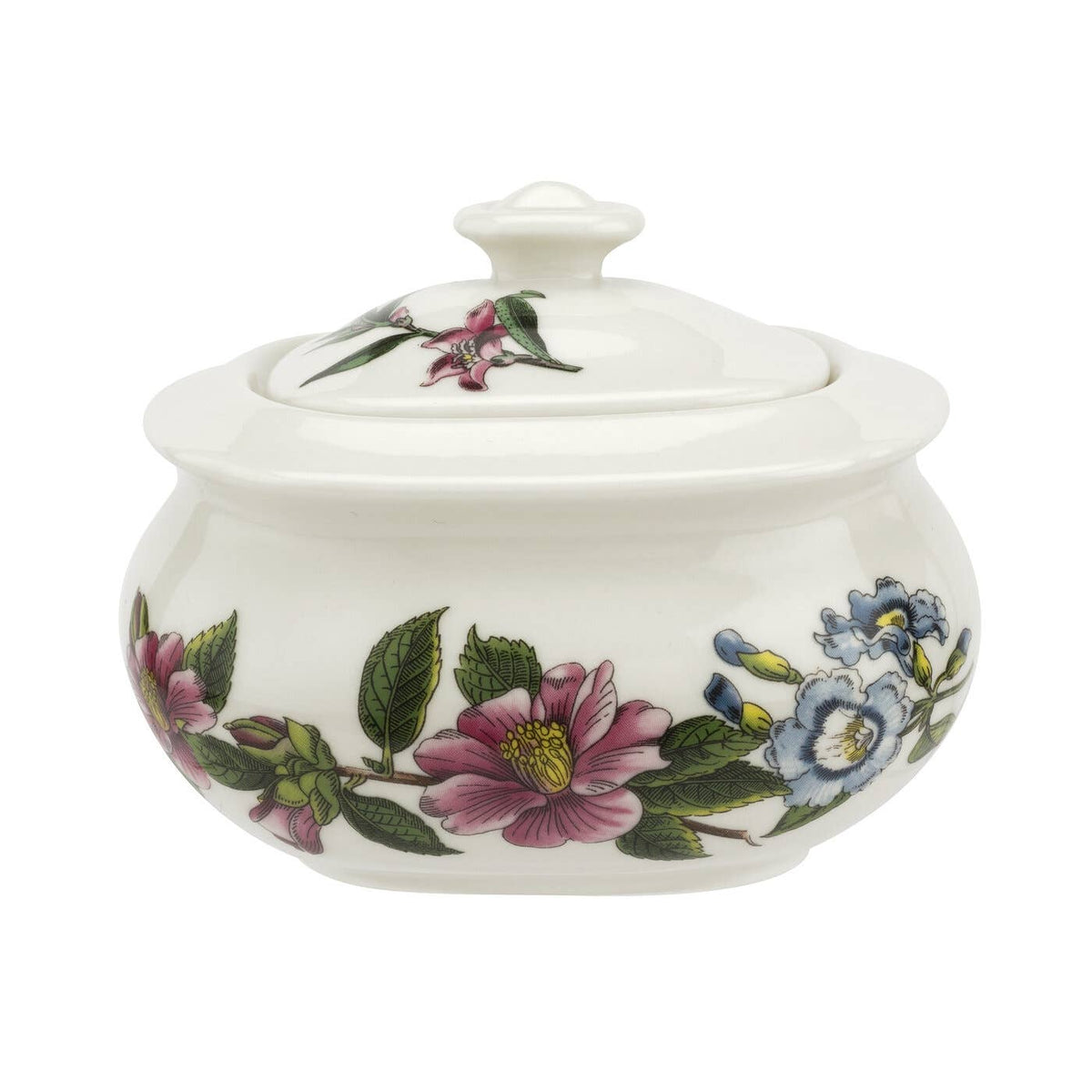 Stafford Blooms SUGAR 8OZ