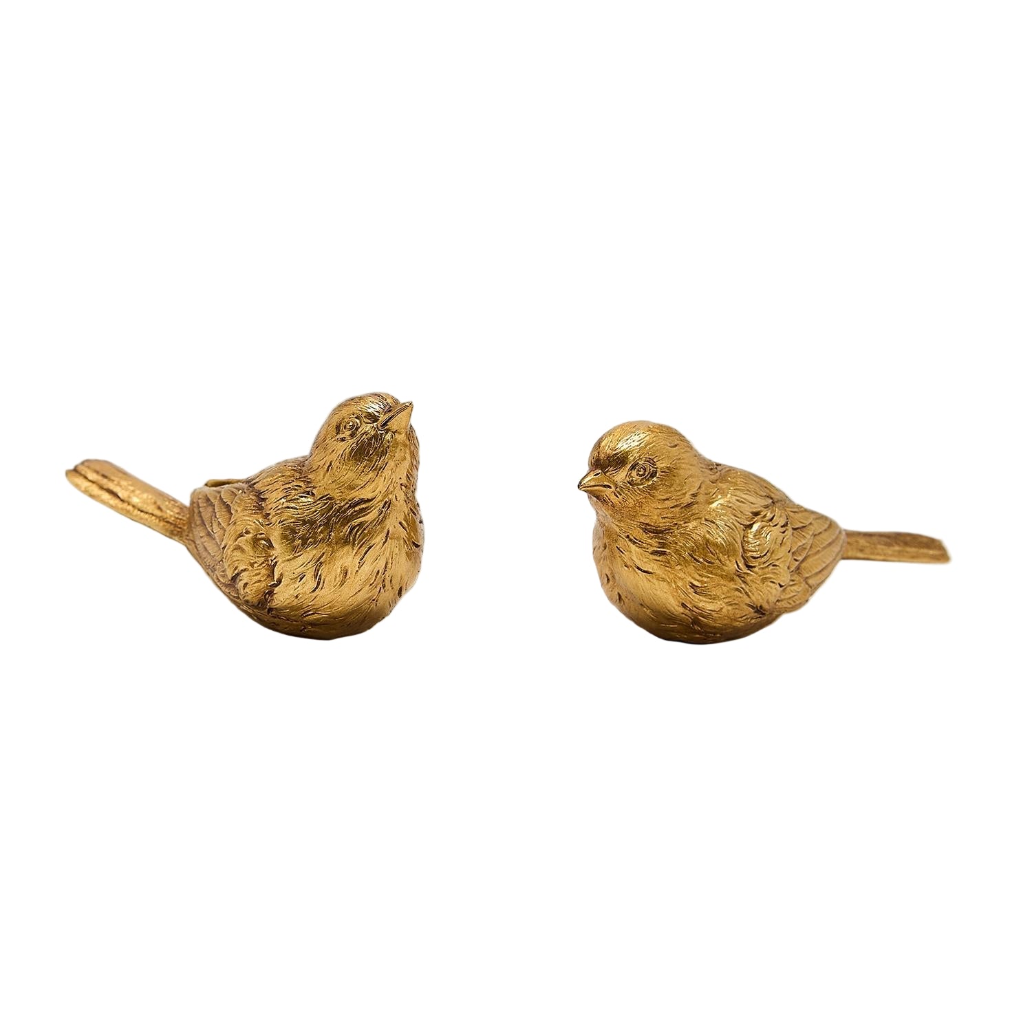 Golden Bird Accent
