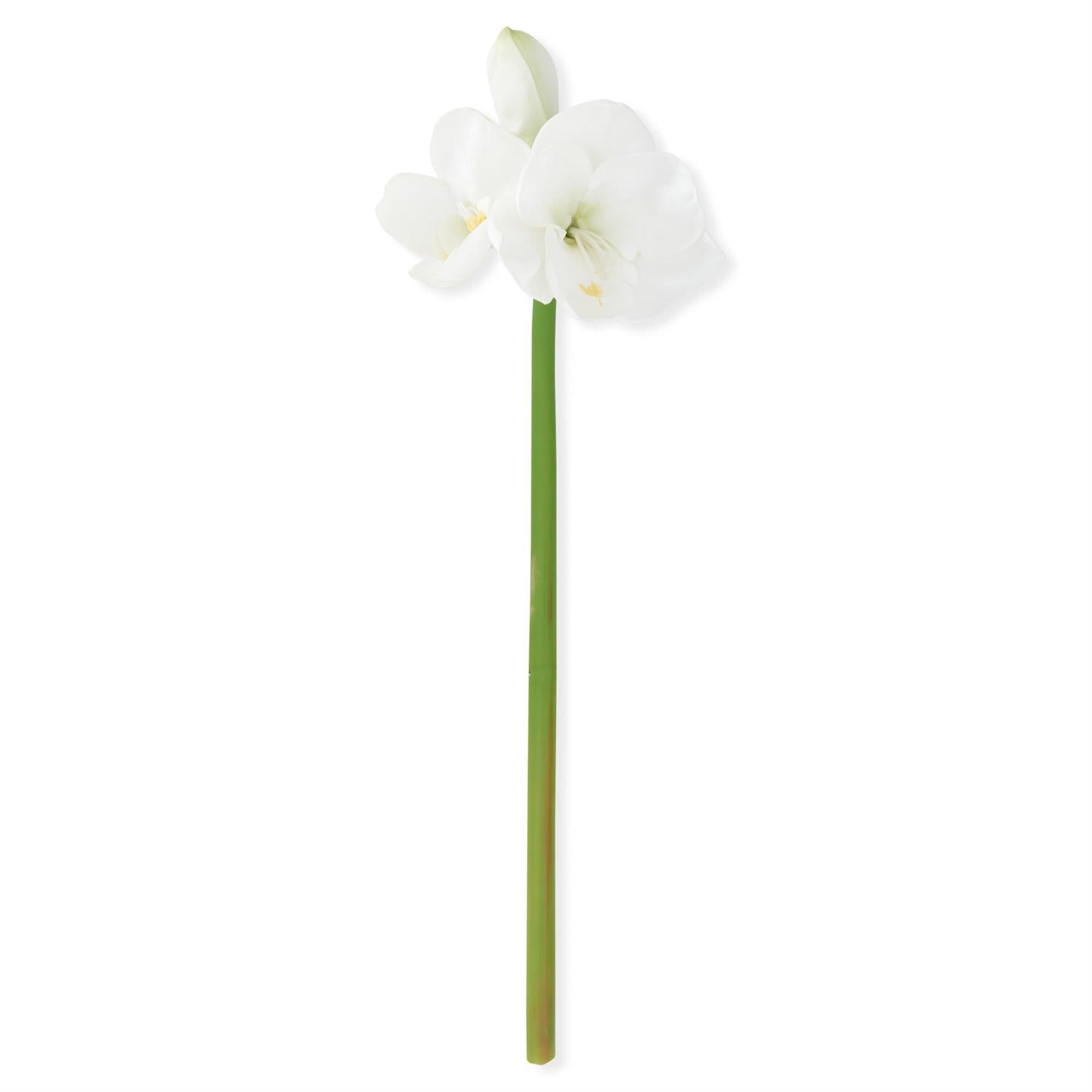 Real Touch White Amaryllis Stem