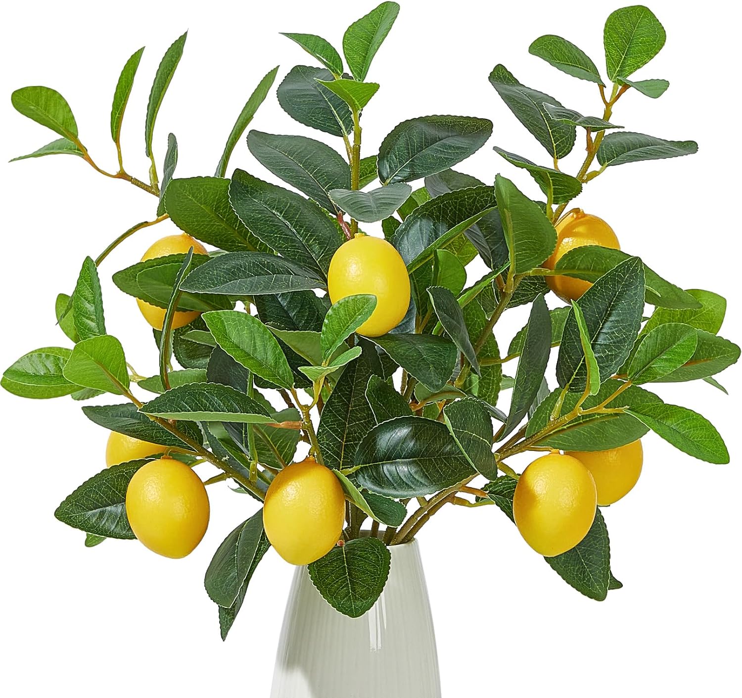 Lemon Tree Branch