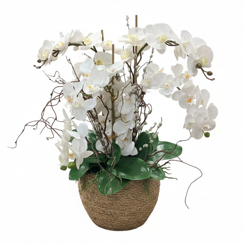 Flaura Orchid in Rope Container