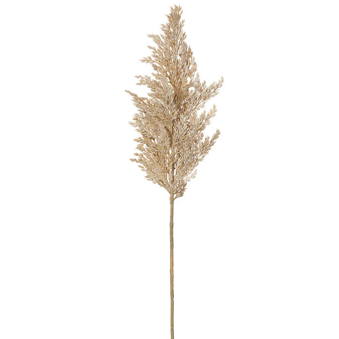 Pampas Grass Spray- Cream