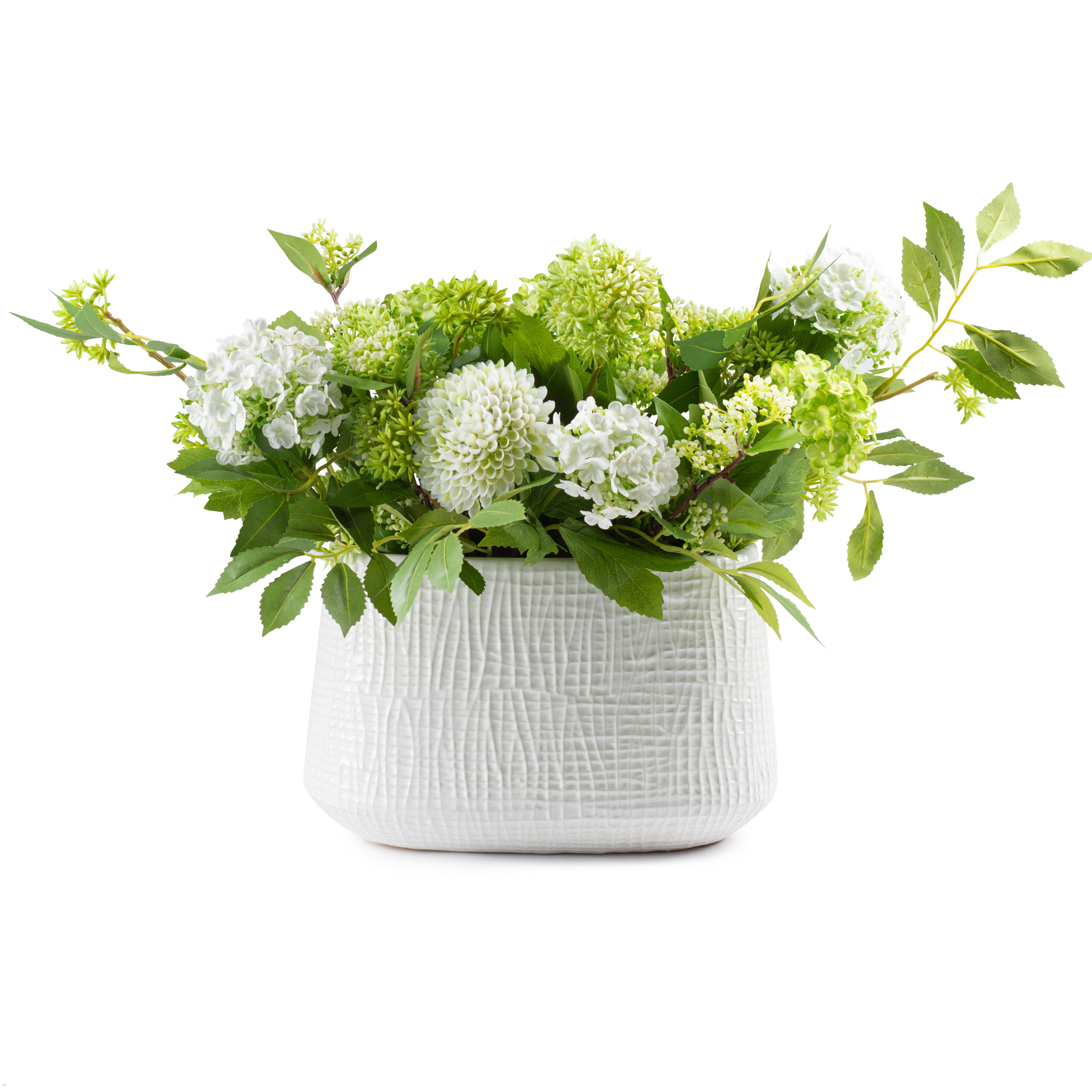 Flaura  Garden of Hydrangeas