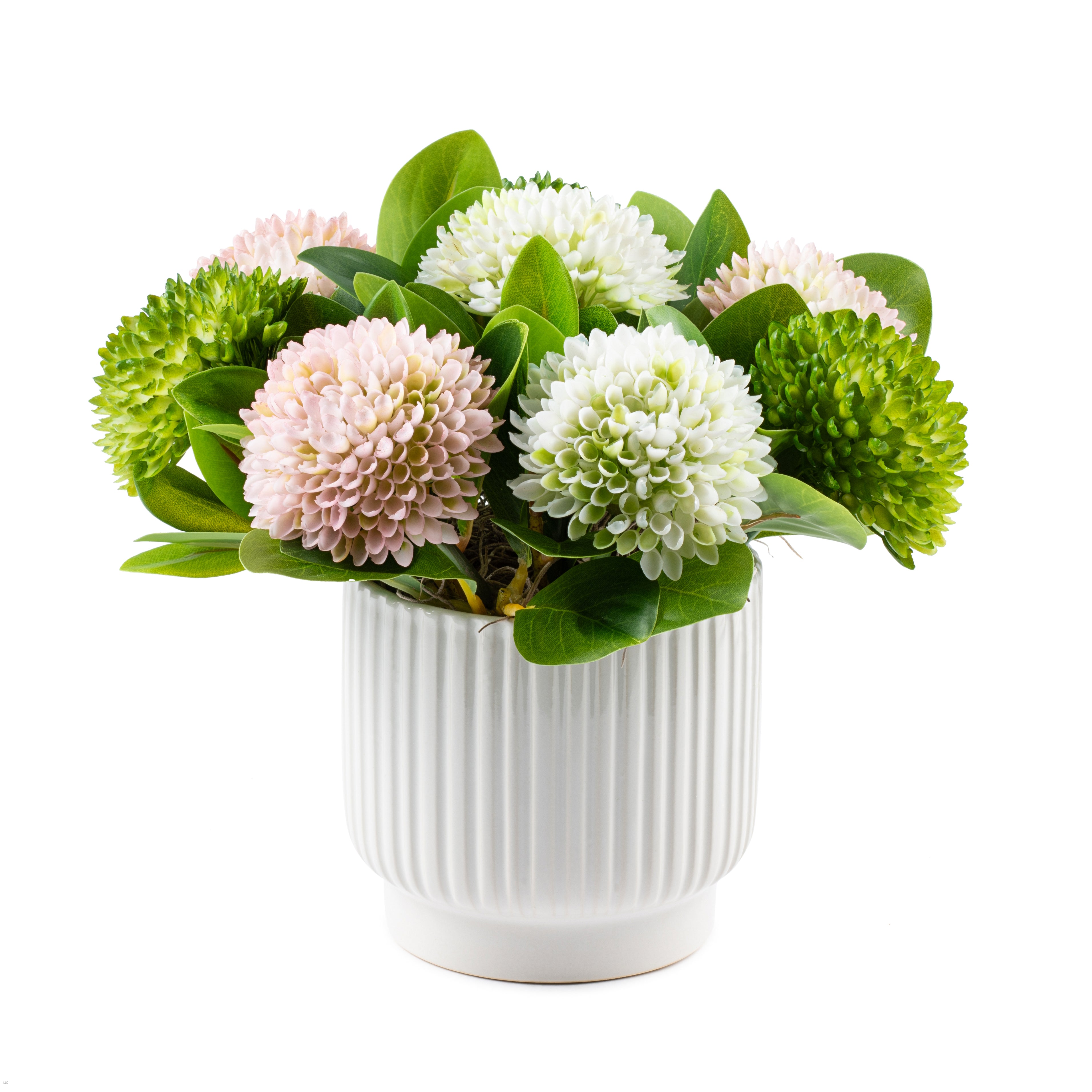 Flaura Multi Dahlia Arrangement