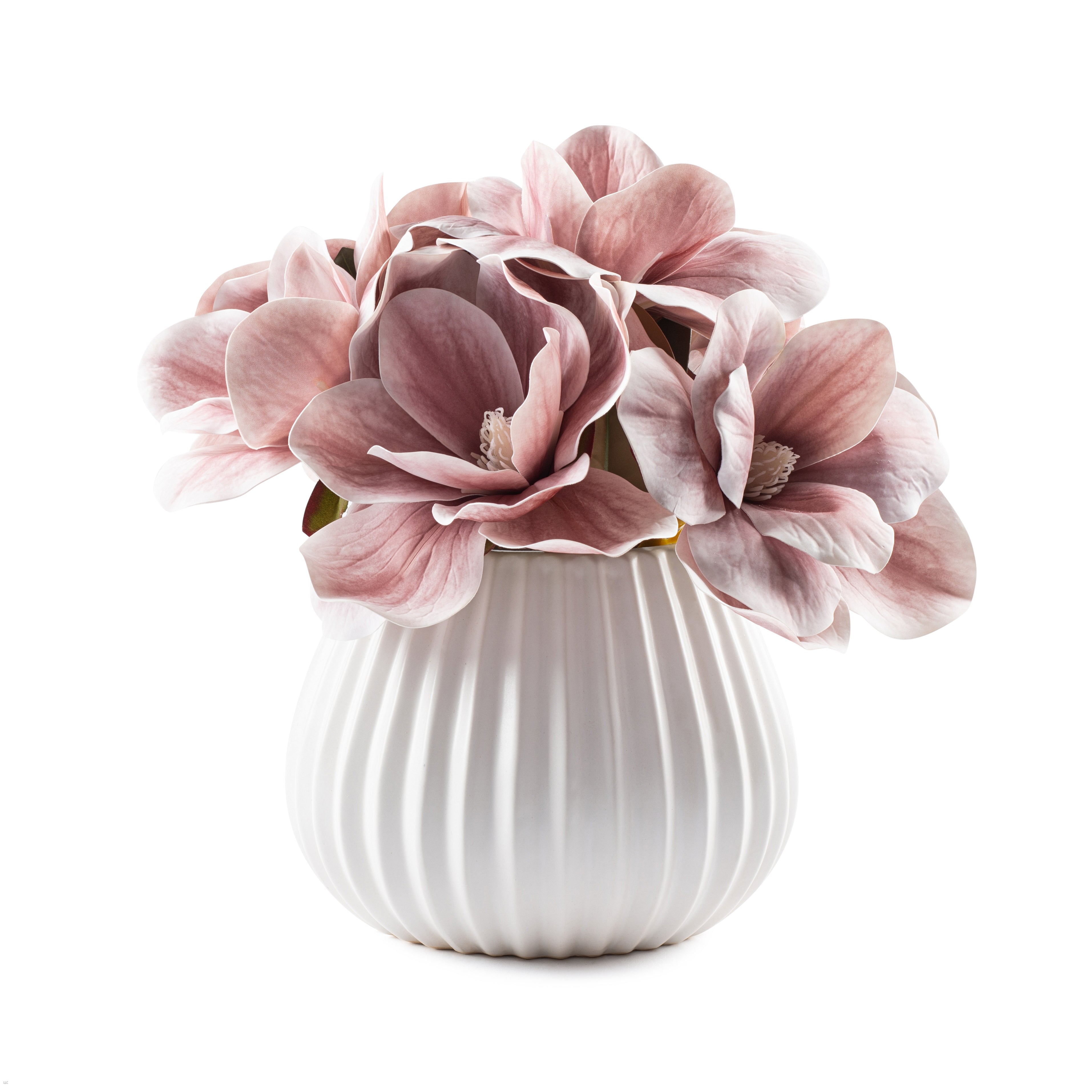 Flaura Blushed Magnolia