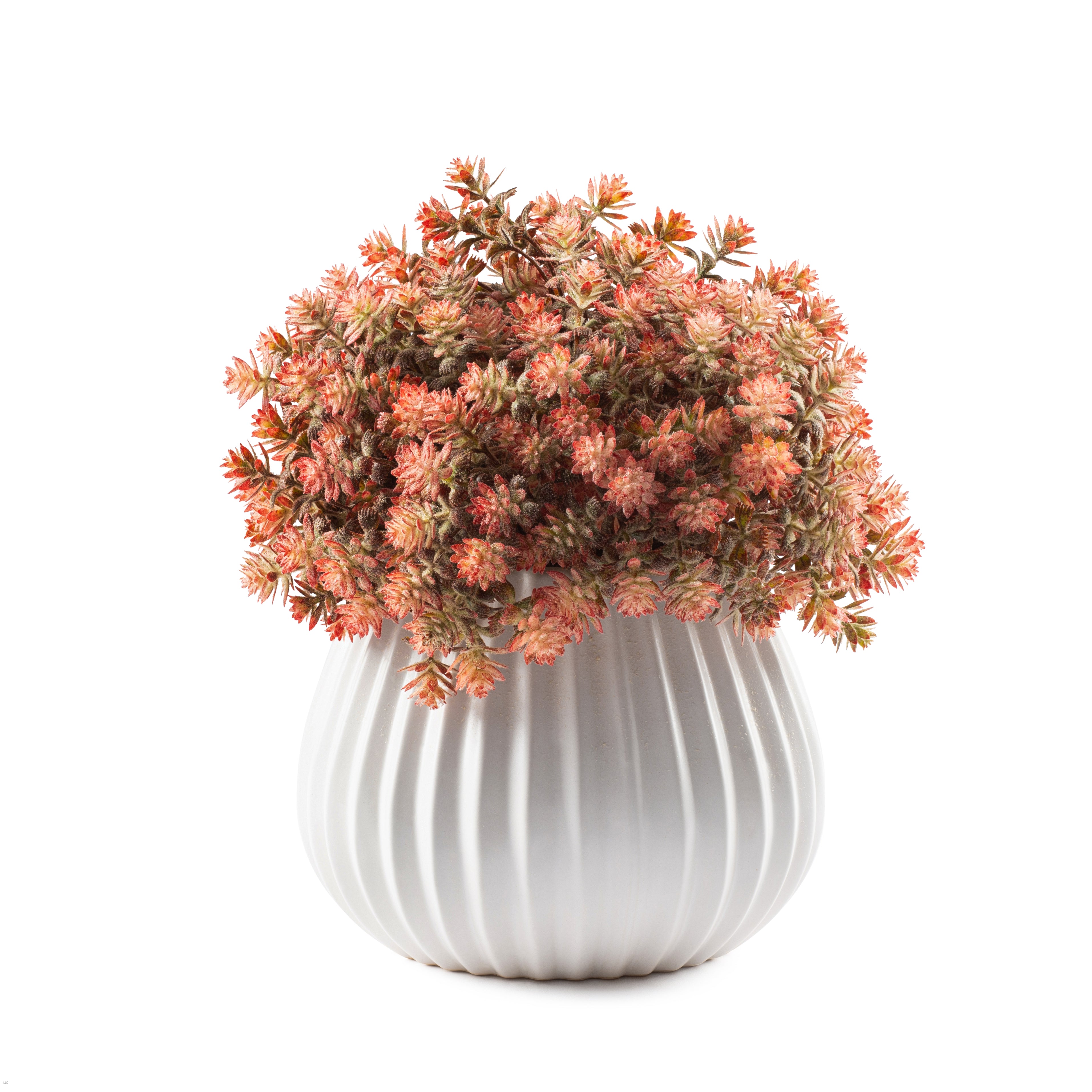 Flaura Rustic Autumn Blooms