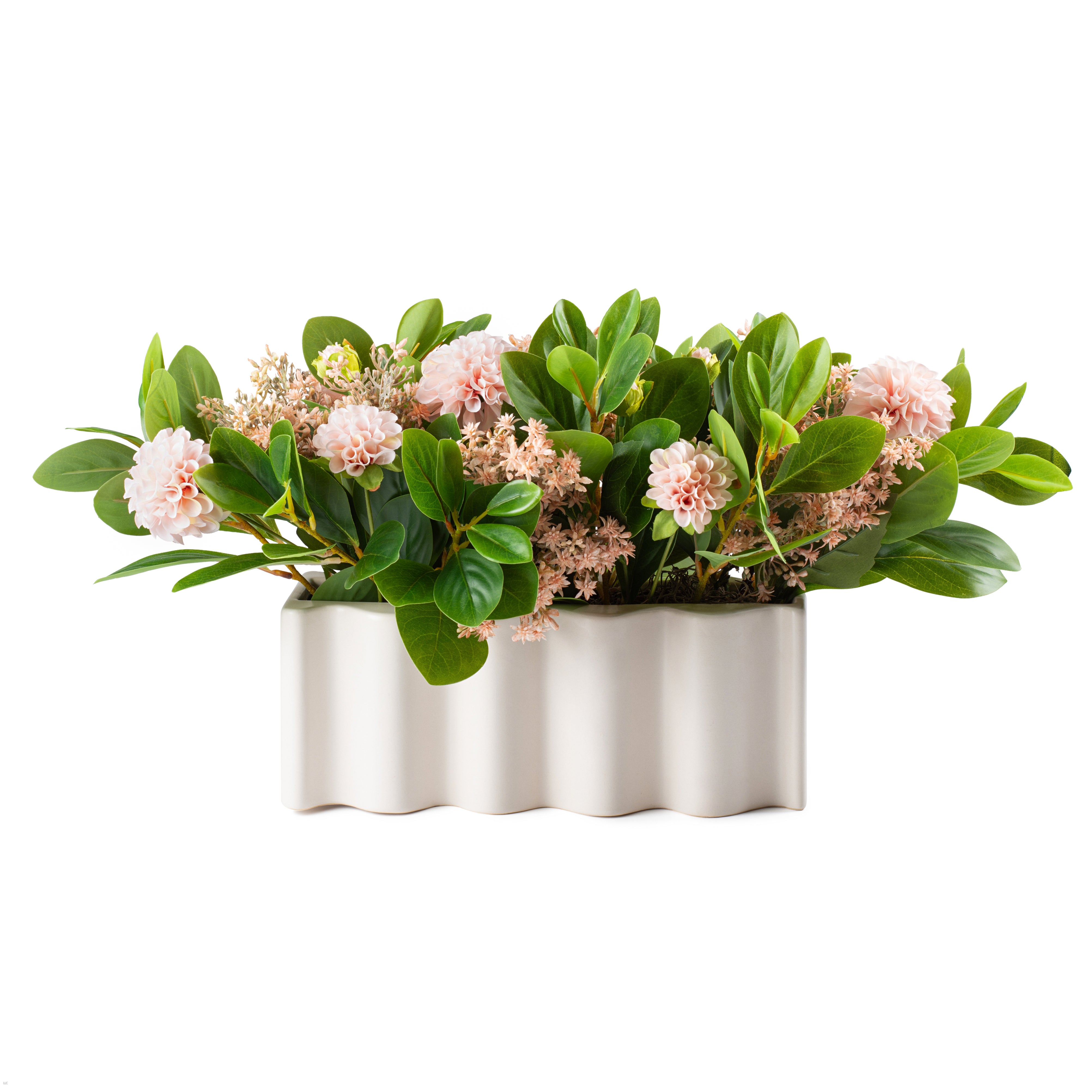 Flaura Baby Pink Blooms in Wavy Pot