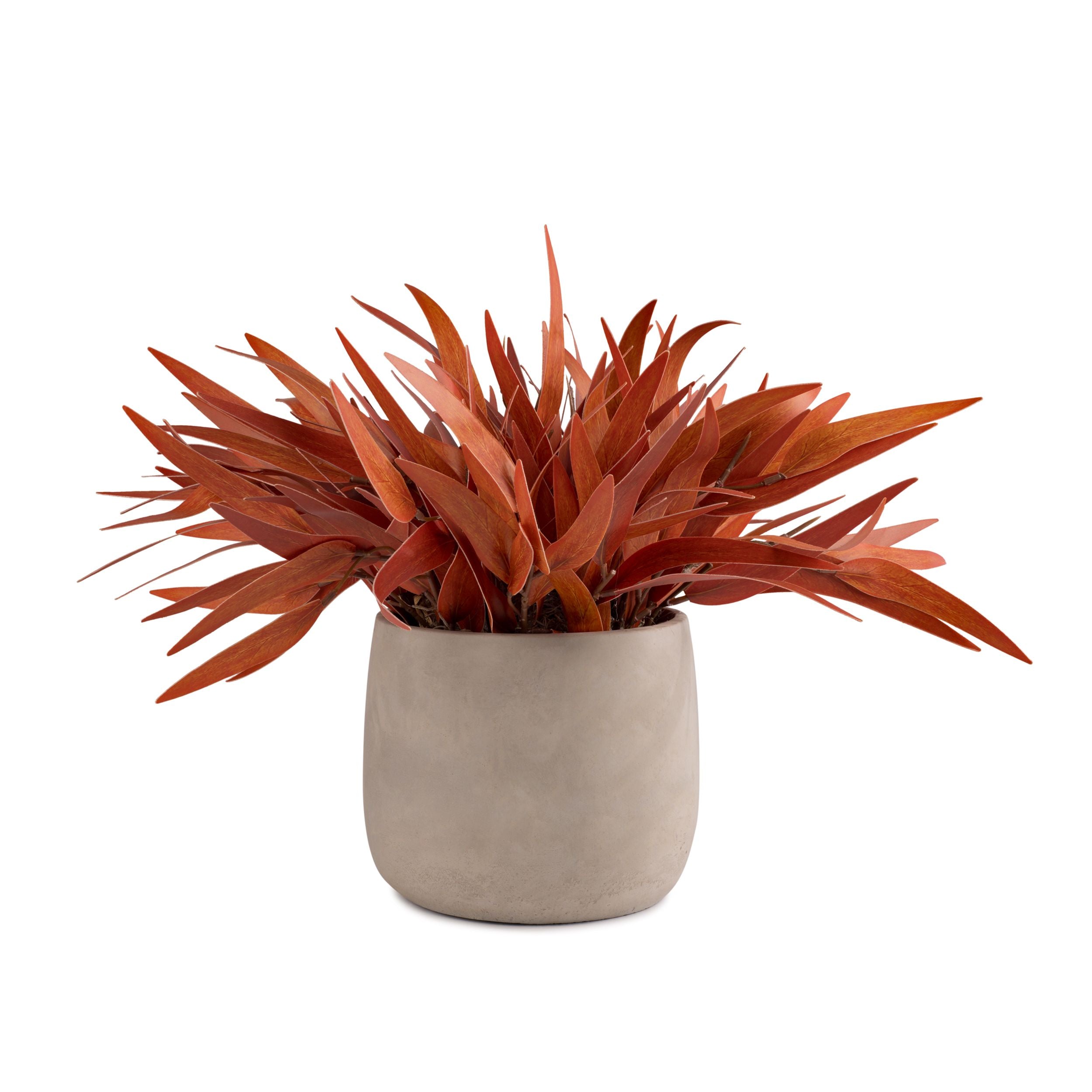 Flaura Rust Orange Planter in Cement