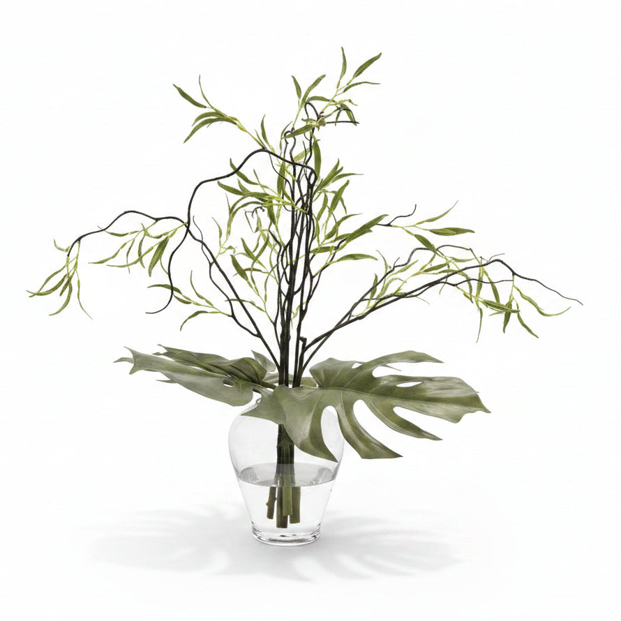 Monsterra Branch in Water