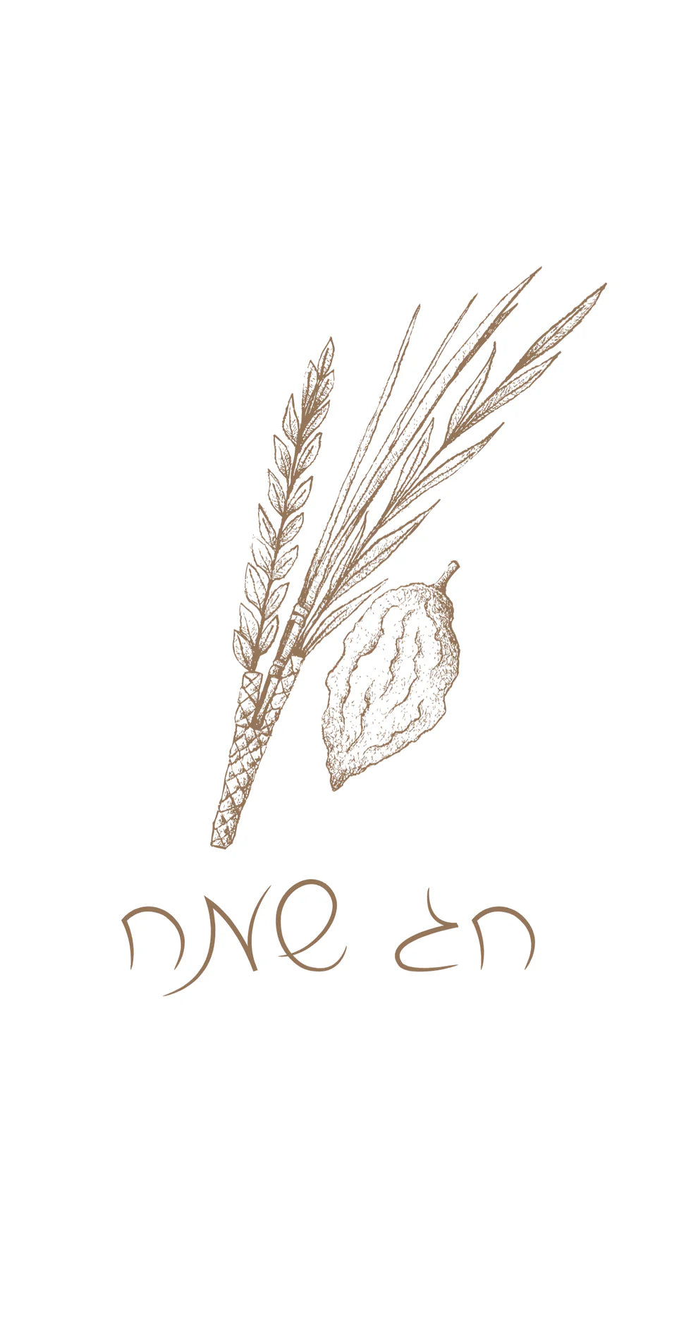 Tan Chag Sameach Guest Towel