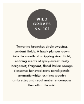 Ferrum Wild Groves Diffuser