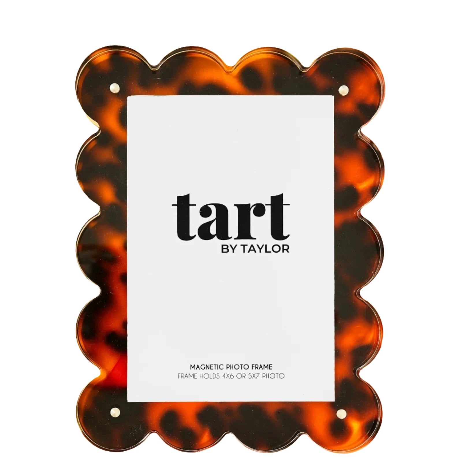 Tart Tortoise Acrylic Picture Frame