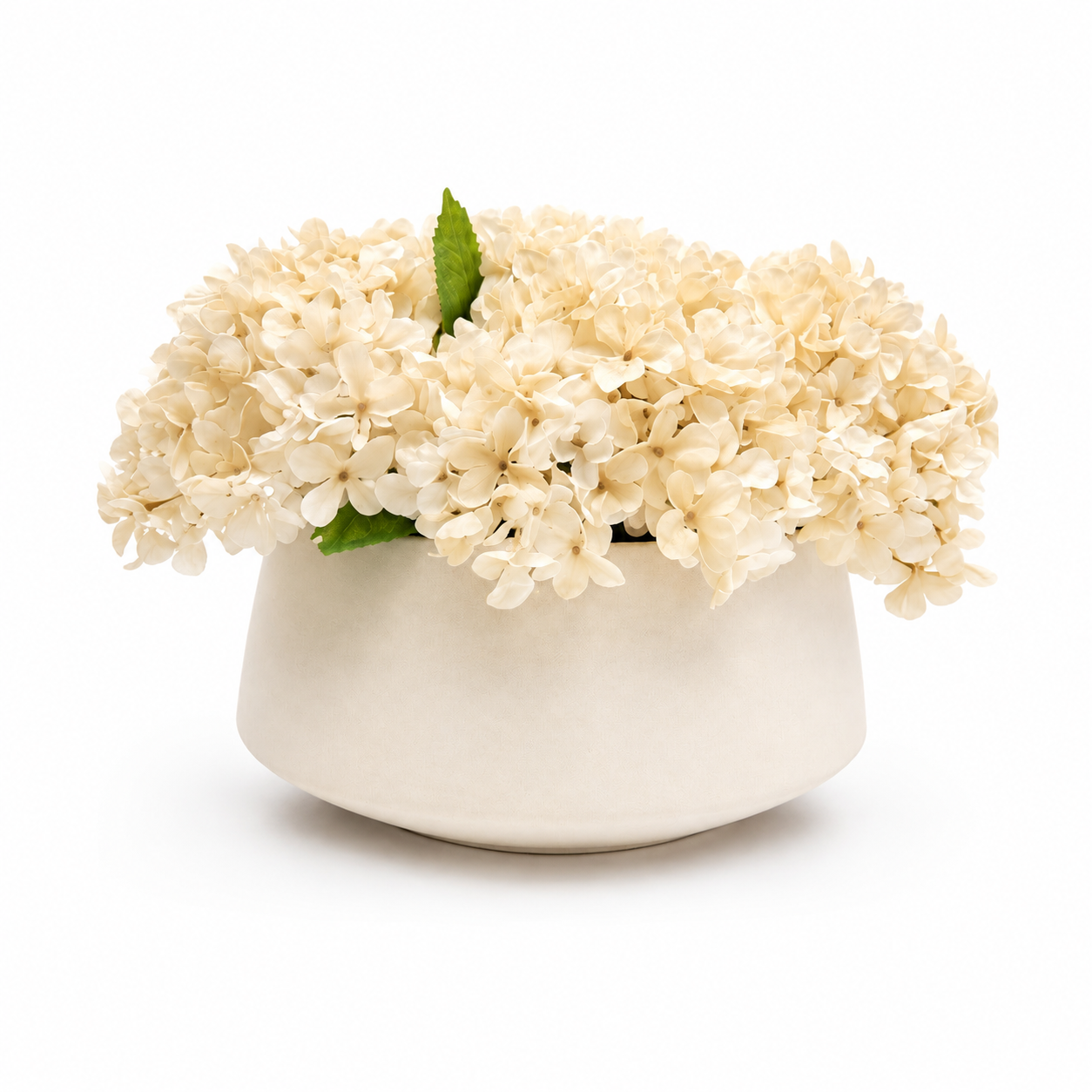 Flaura Cream Hydrangeas