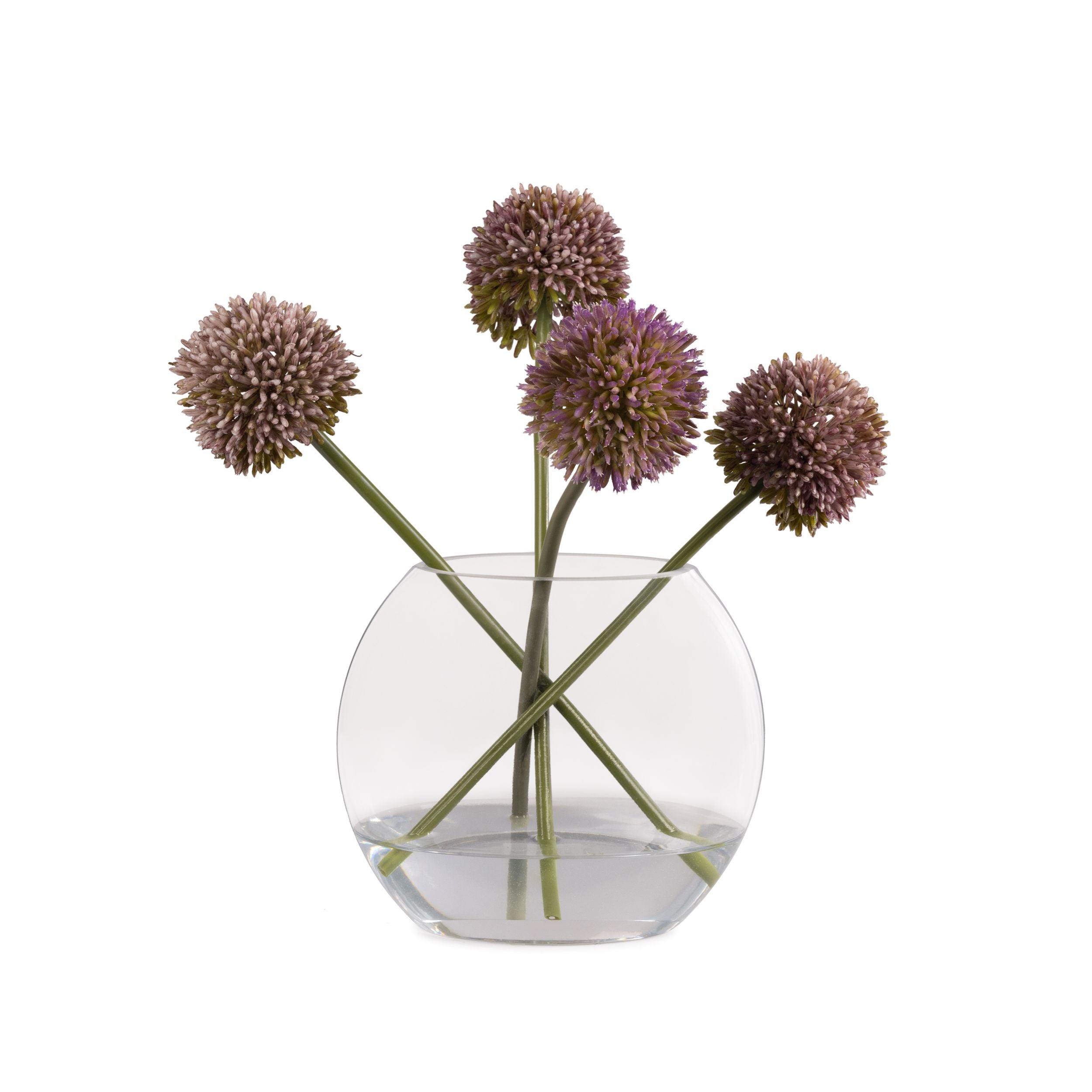 Flaura Violet Allium in Water