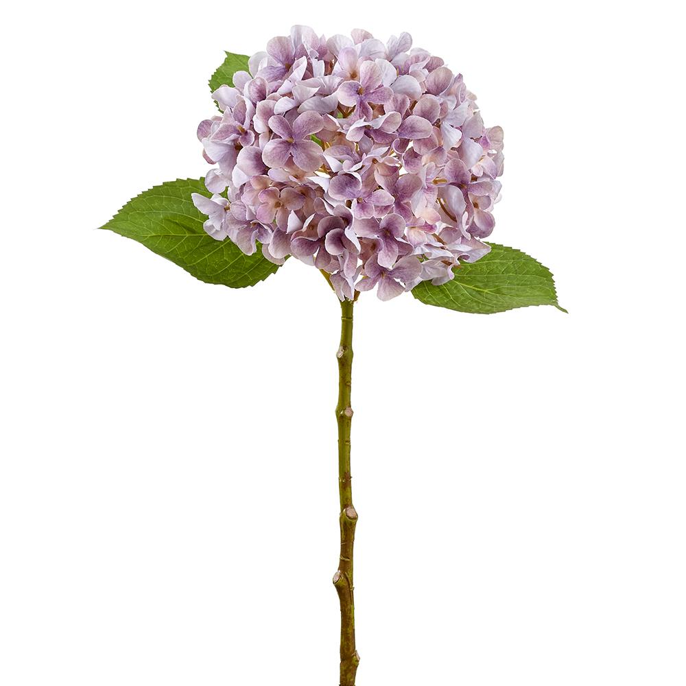 Hydrangea Spray