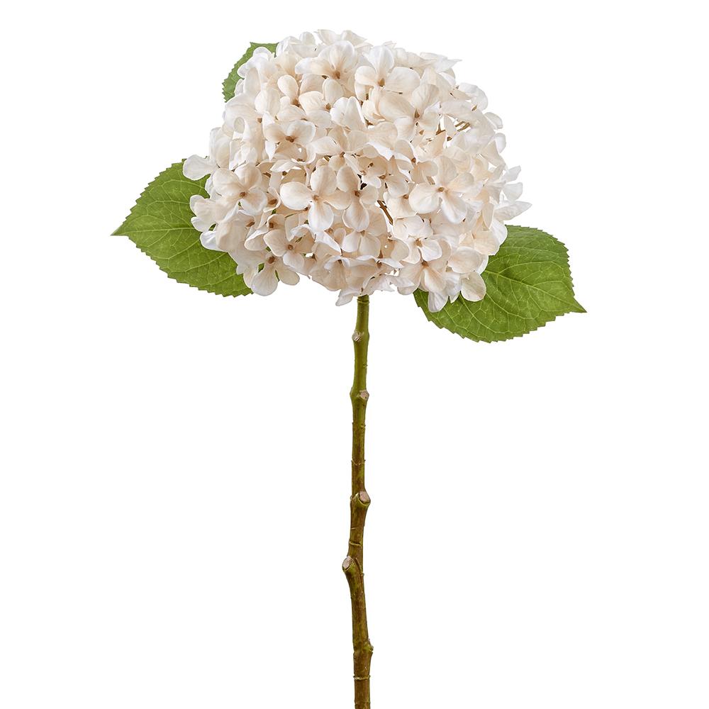 Hydrangea Spray