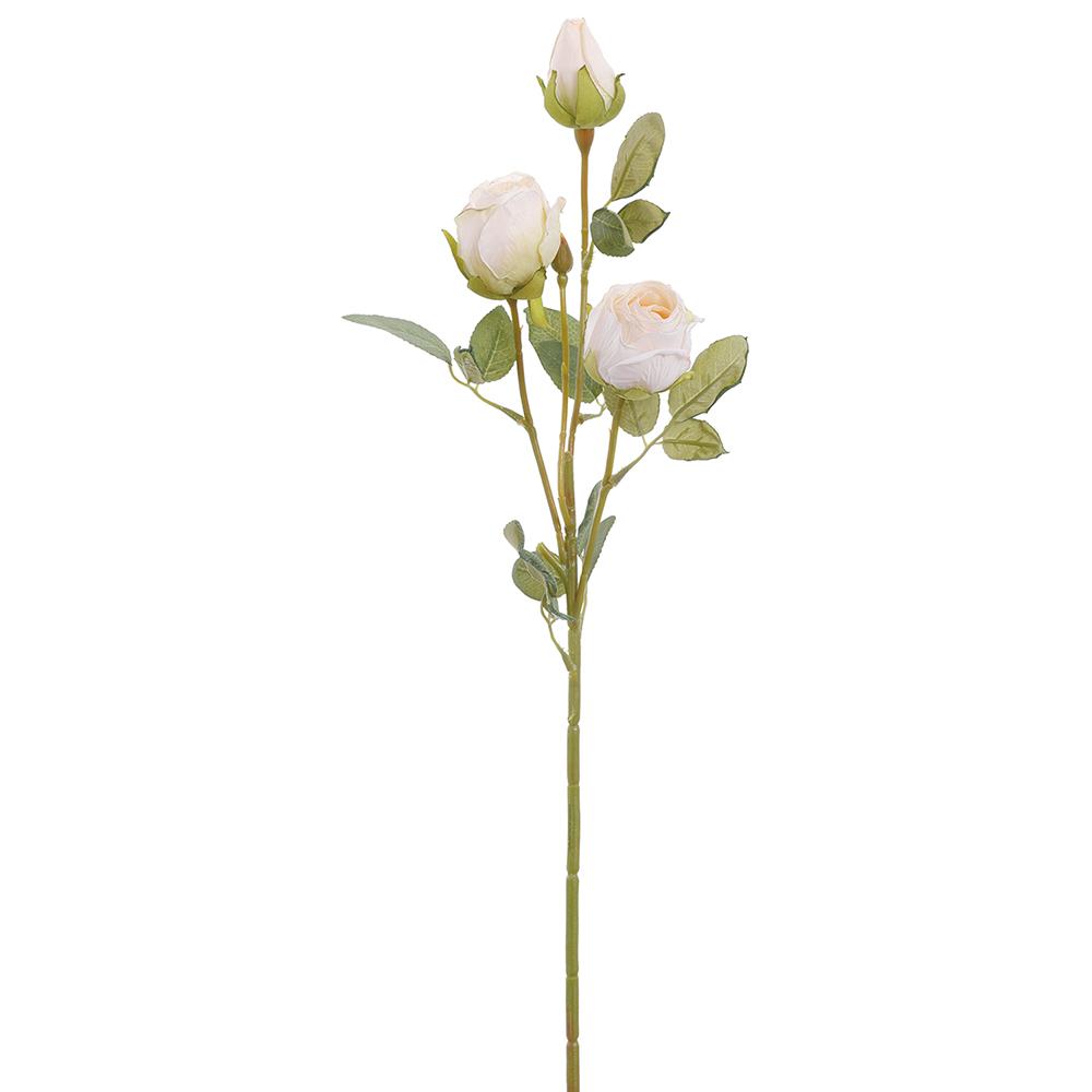 Dried Look Rose Bud Spray- Cream